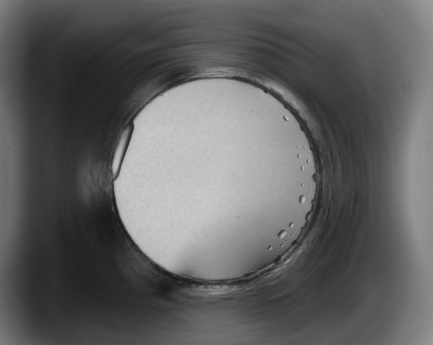 X0000087591193200705251855