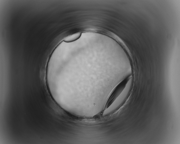 X0000087591194200705251855