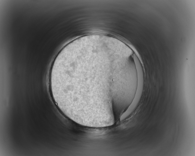 X0000087591195200705251855