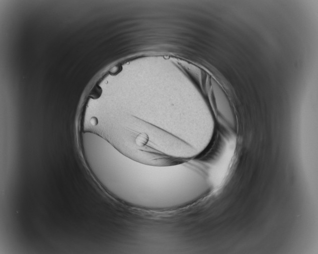 X0000087591196200705251855