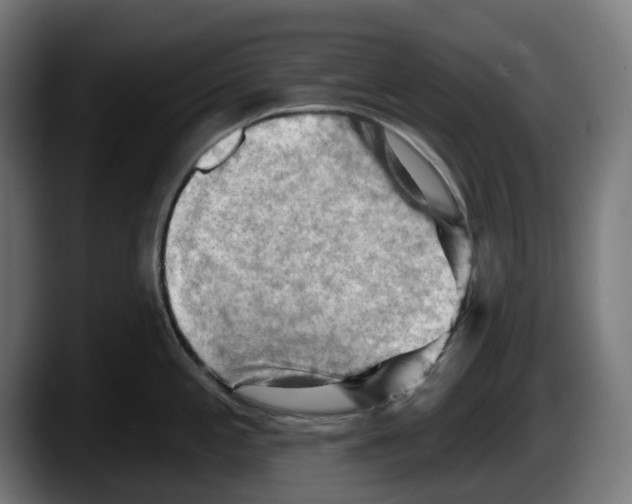 X0000087591197200705251855