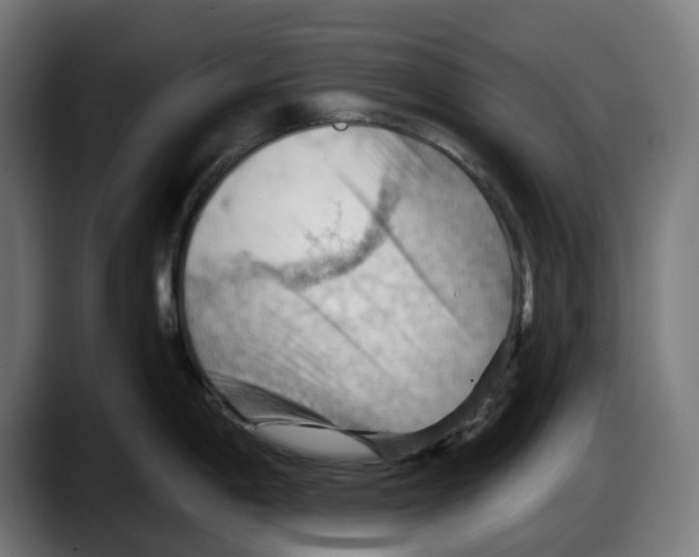 X0000087591198200705251855