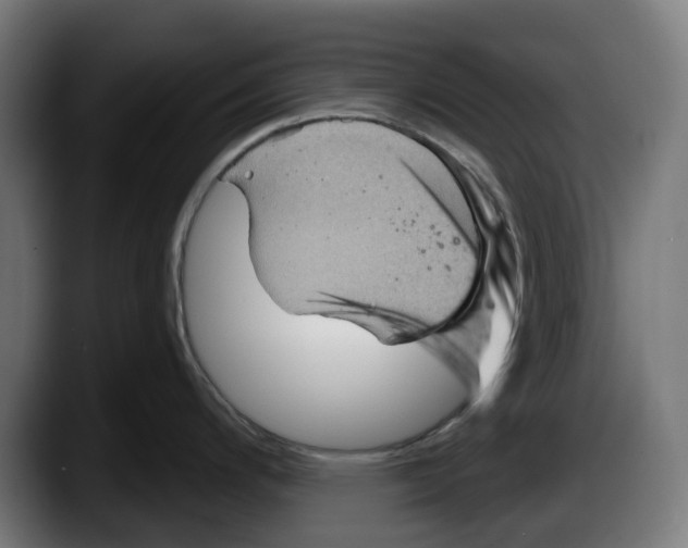 X0000087591200200705251855