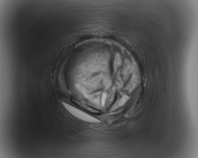 X0000087591202200705251854