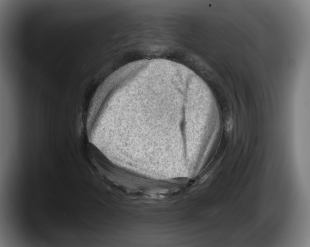 X0000087591204200705251854