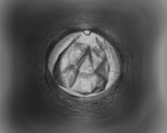 X0000087591205200705251854