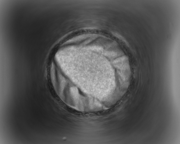 X0000087591208200705251854