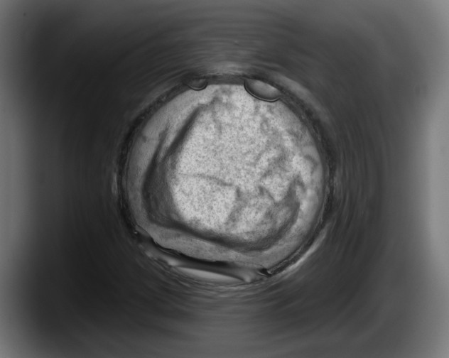 X0000087591209200705251854