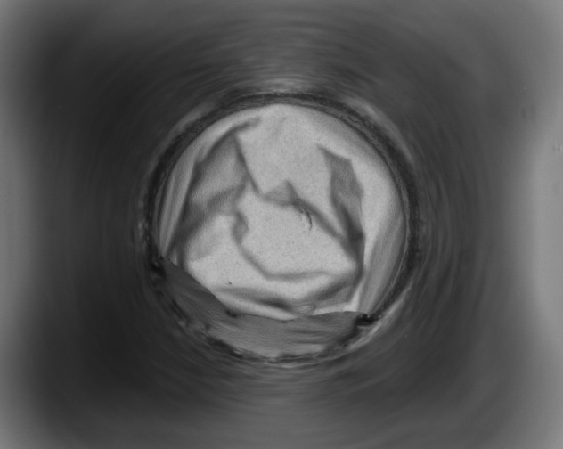 X0000087591210200705251854