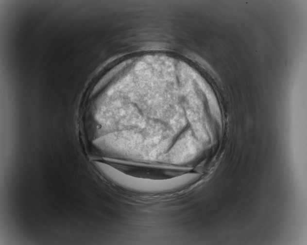 X0000087591212200705251854