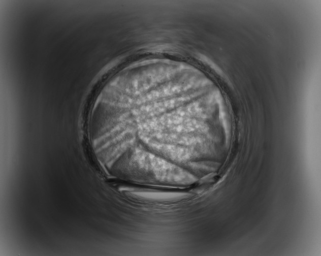 X0000087591213200705251854