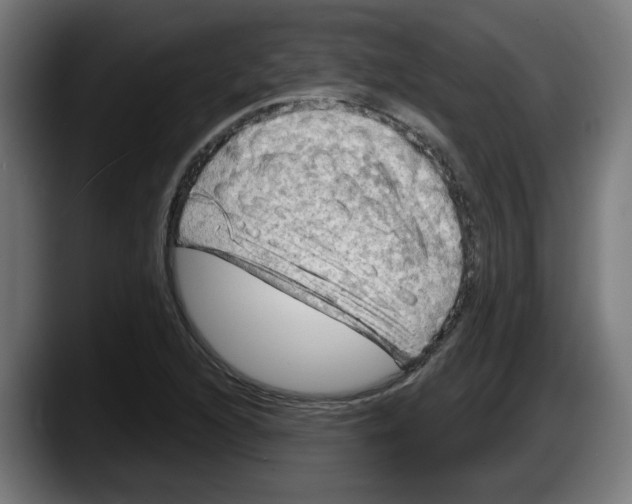 X0000087591216200705251855