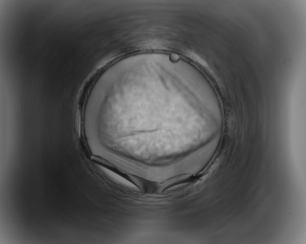 X0000087591219200705251855