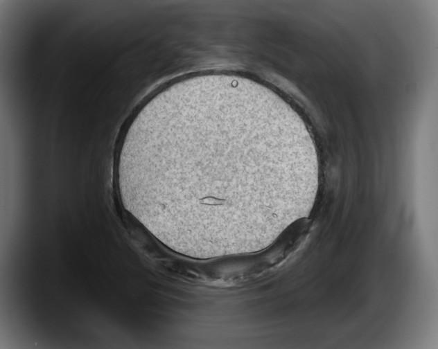 X0000087591220200705251855