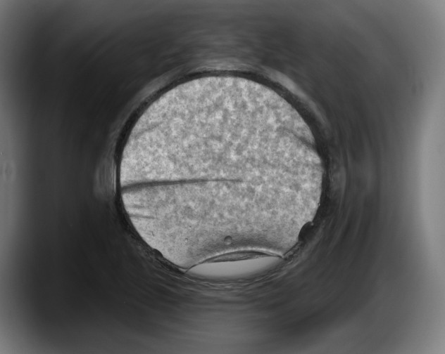 X0000087591221200705251855