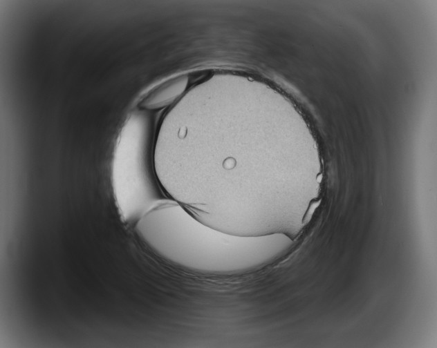 X0000087591222200705251855