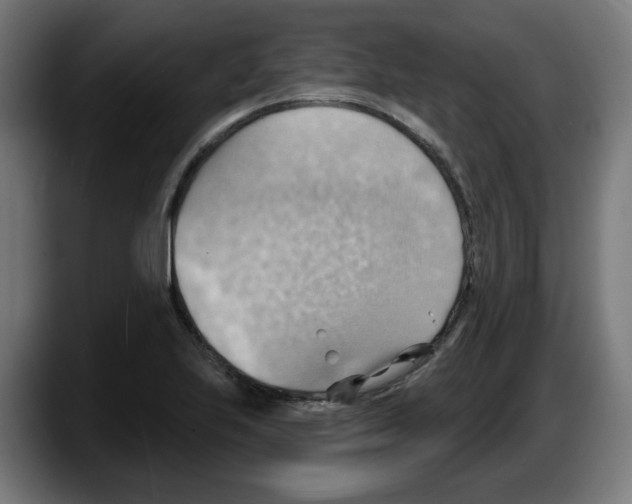 X0000087591223200705251855