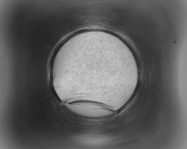 X0000087591224200705251855