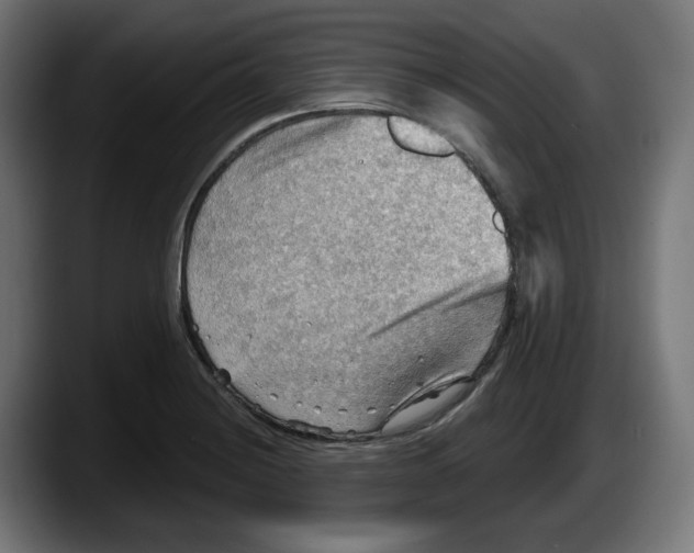 X0000087591228200705251855