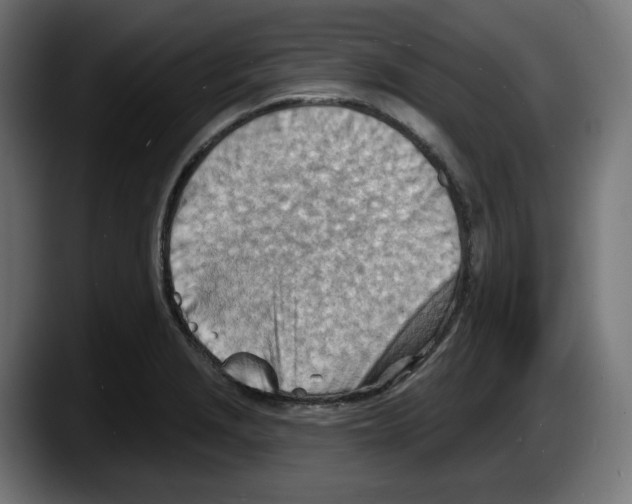 X0000087591229200705251855