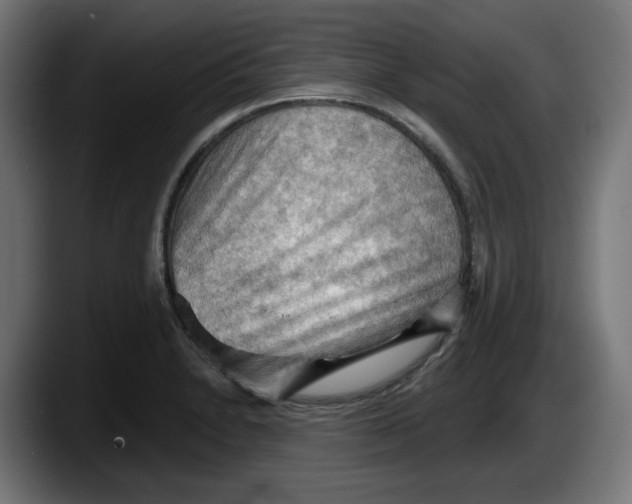 X0000087591230200705251855