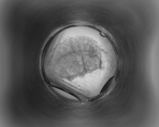 X0000087591231200705251855