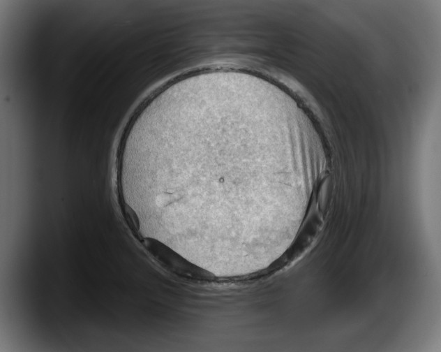 X0000087591232200705251855