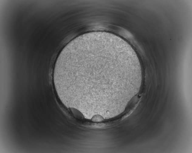 X0000087591233200705251855