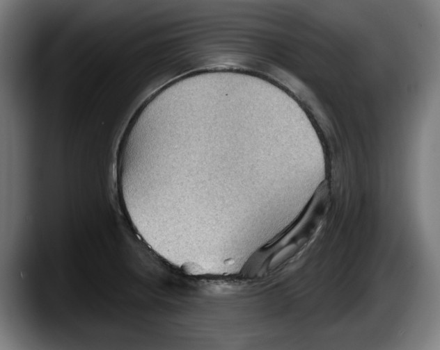 X0000087591234200705251855