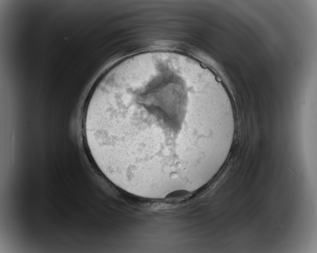 X0000087591235200705251855