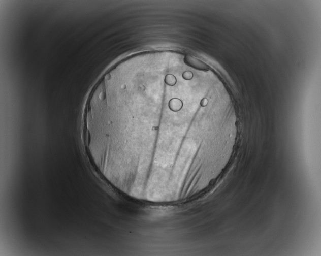 X0000087591236200705251855