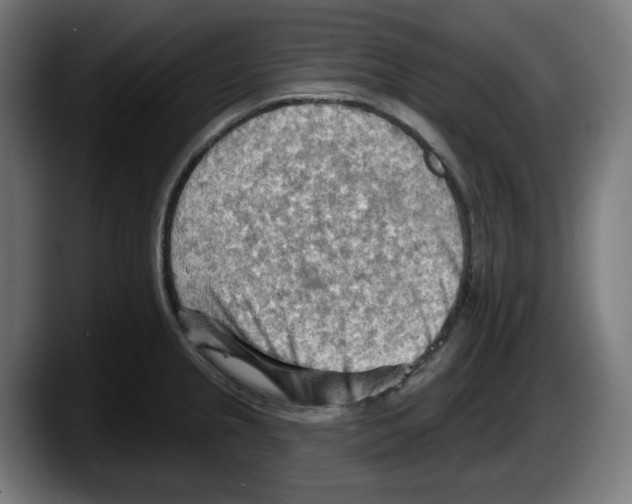 X0000087591237200705251855