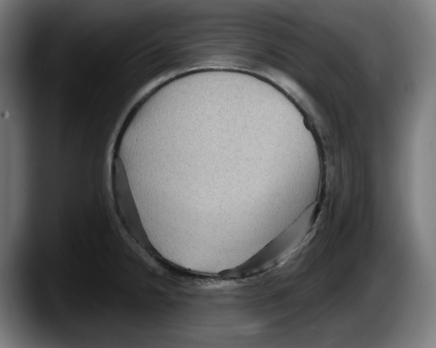 X0000087591238200705251855