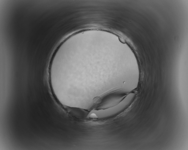 X0000087591239200705251855