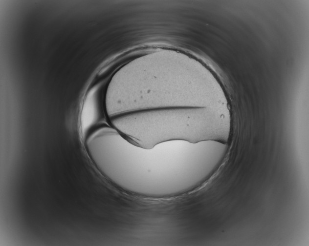 X0000087591240200705251855