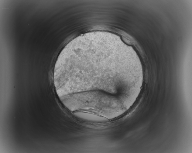 X0000087591241200705251855