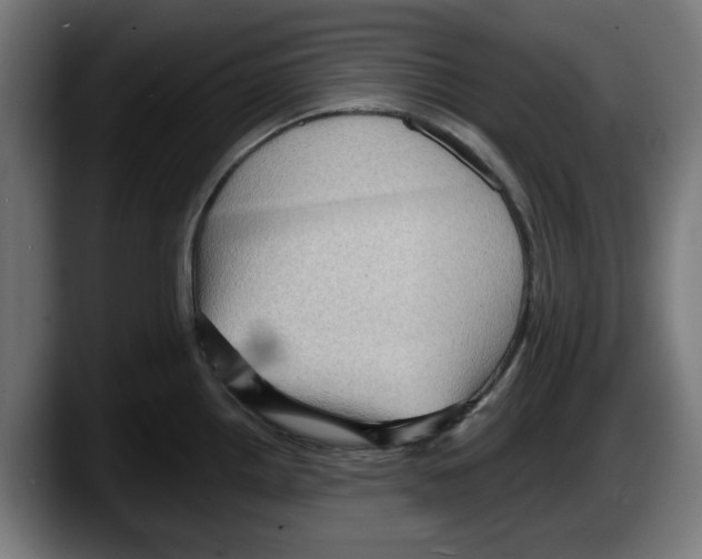 X0000087591242200705251855