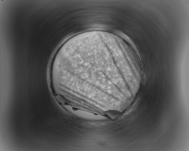 X0000087591243200705251855