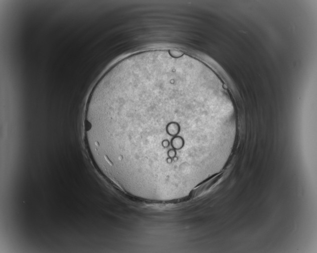 X0000087591244200705251855