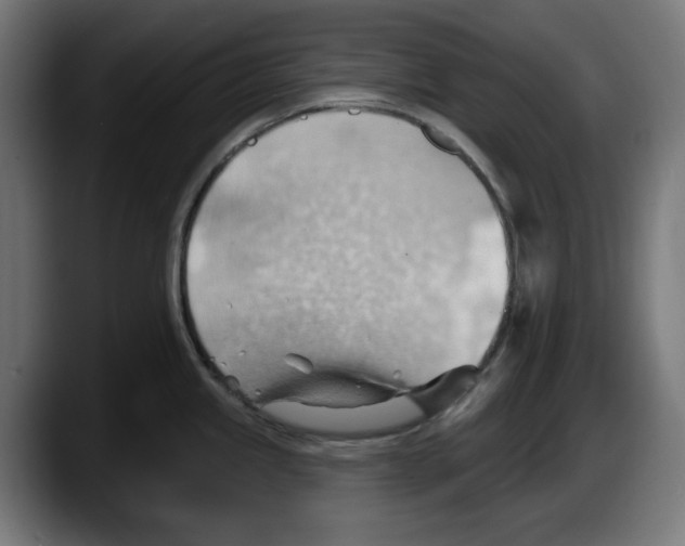 X0000087591245200705251855