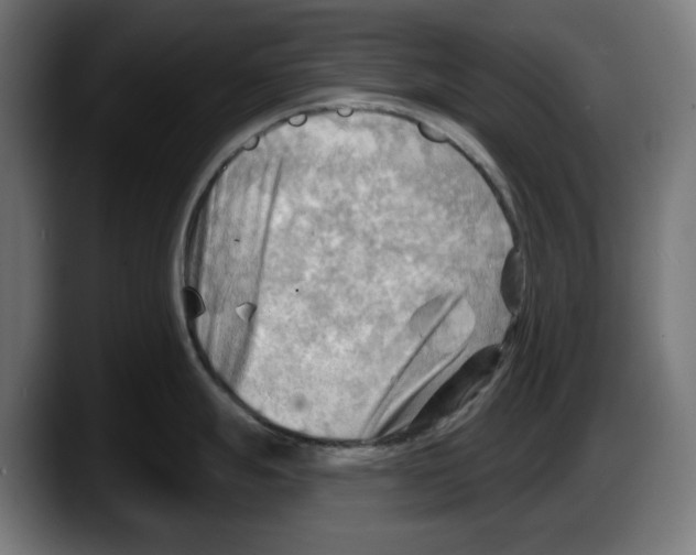 X0000087591247200705251855