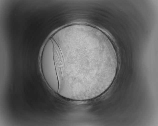 X0000087591248200705251855