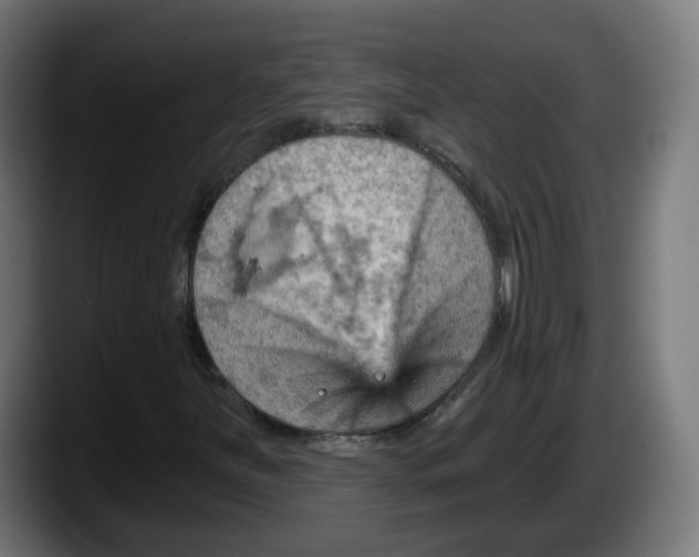 X0000087591251200705251854