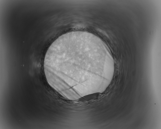 X0000087591254200705251854