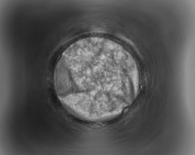 X0000087591255200705251854