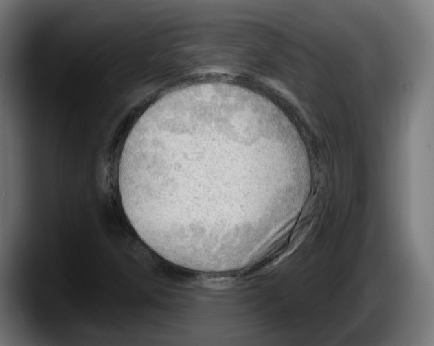 X0000087591258200705251854