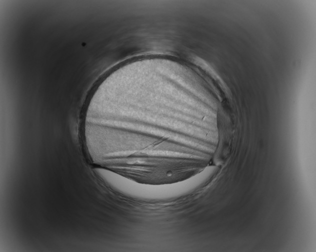 X0000087591260200705251854