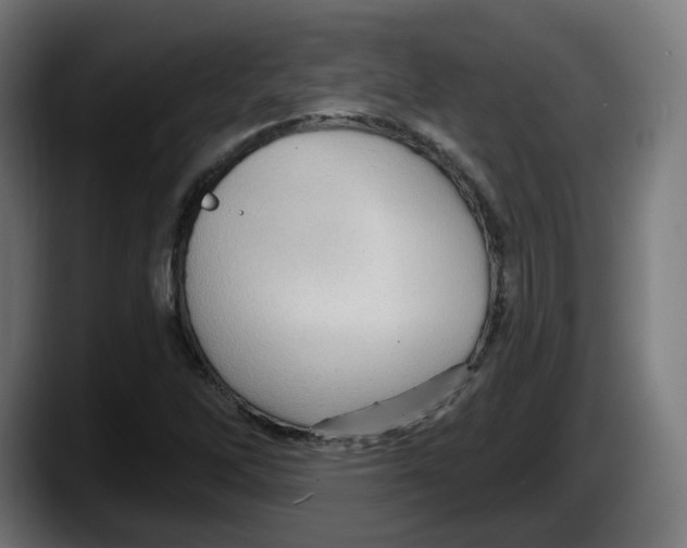 X0000087591262200705251854