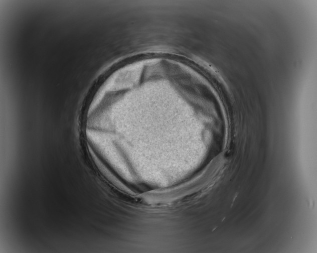 X0000087591264200705251854