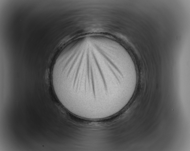 X0000087591265200705251854